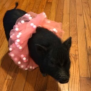 Meet your Posher, Winmace